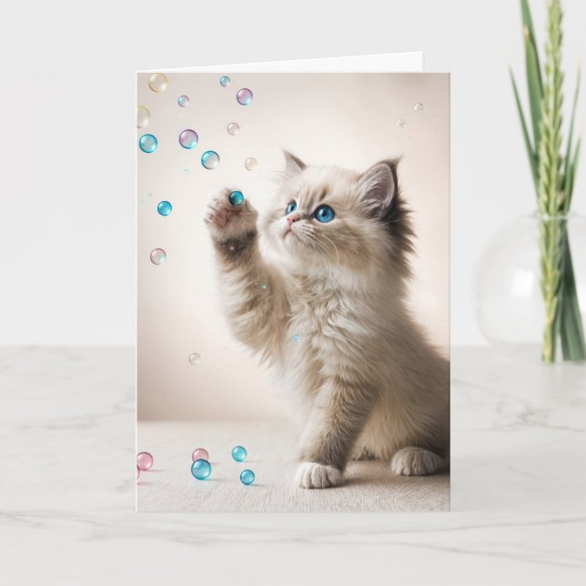 Birthday Ragdoll Kitten Playing With Bubbles Card (Front)