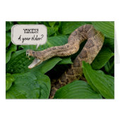 birthday rattlesnake in plant (Front Horizontal)