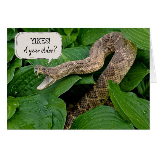 birthday rattlesnake in plant (Front Horizontal)