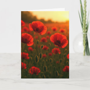 Birthday Red Poppy Field at Sunrise Card