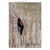 birthday-red winged blackbird on dry grass (Front)