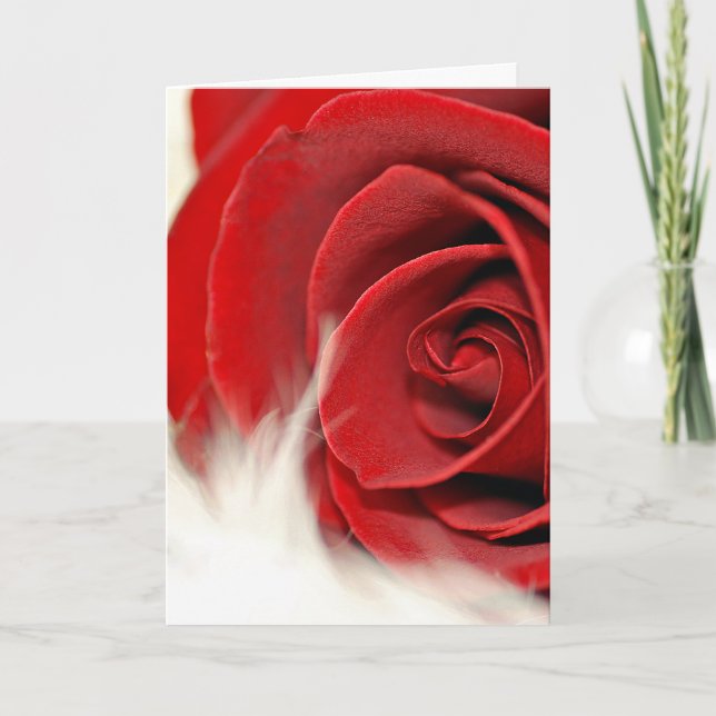 Birthday Rose On Fur for Wife Card (Front)