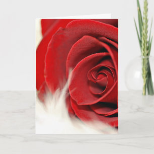 Birthday Rose On Fur for Wife Card