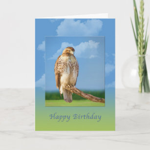 Image result for happy birthday hawk