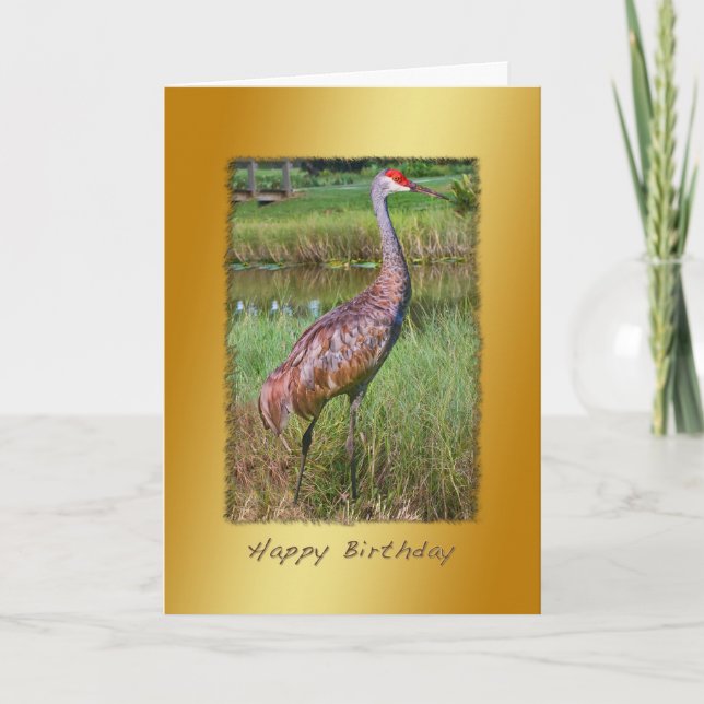 Birthday, Sandhill Crane Bird Card (Front)