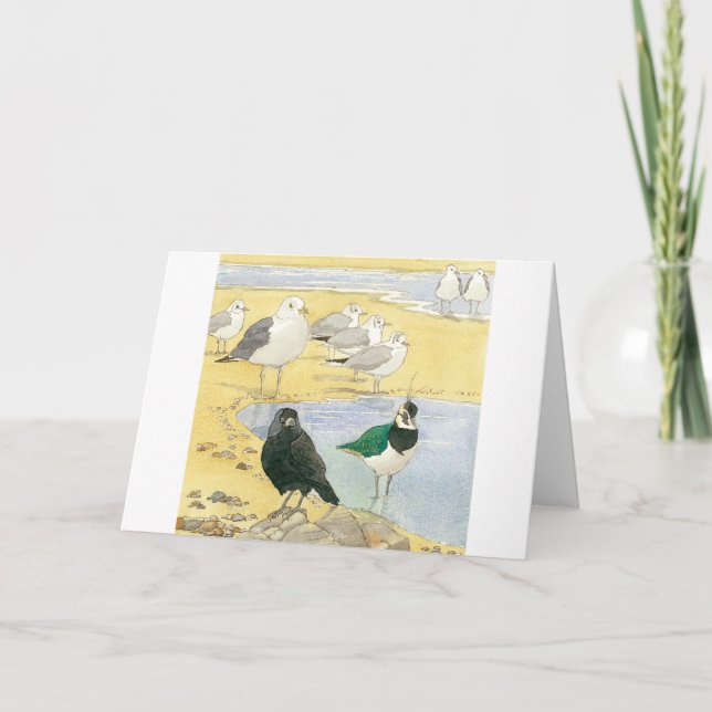Birthday Seabird Jackdaw Lapwing Beach Nature Card (Front)