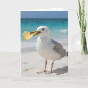 Birthday Seagull with a Potato Chip Card