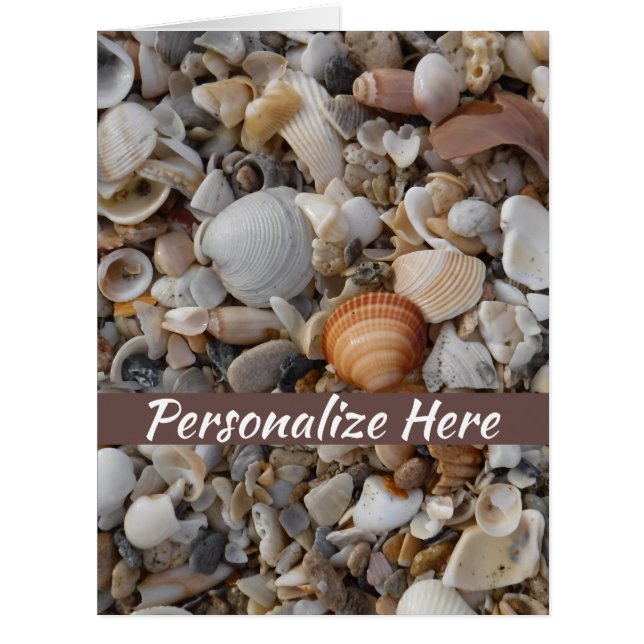 Birthday Seashells At The Sea Shore  Medium Gift B Cards (Front)