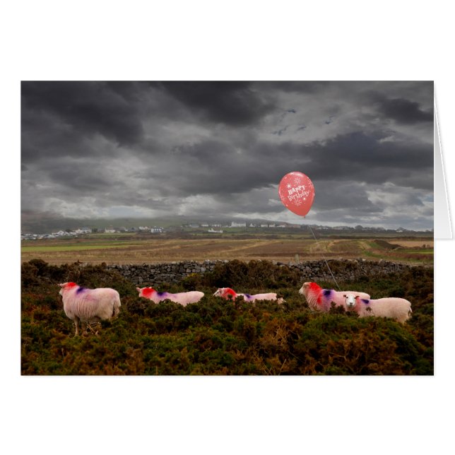 Birthday sheep cards (Front Horizontal)