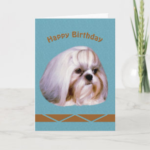 Birthday, Shih Tzu Dog Card