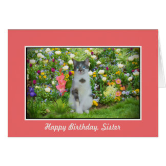 Birthday, Sister,Cat Among The Flowers Card