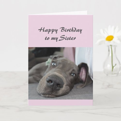 Birthday Sister Fun Dog definition of Relax Humor Card