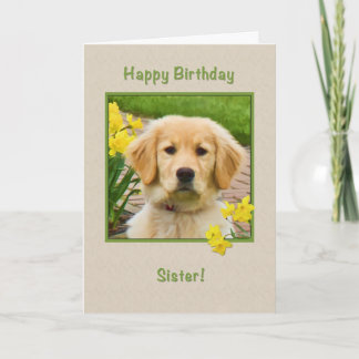 Birthday, Sister, Golden Retriever Dog, Daffodils Card