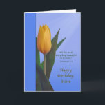Birthday, Sister, Golden Tulip Flower Card<br><div class="desc">For a sister's birthday this is a nice colorful birthday greeting with a religious theme. The cover image shows a lovely yellowish orange tulip surrounded by deep green leaves. The background is a varied blue with a wide deep blue border on the left side of the card. Rays of light...</div>