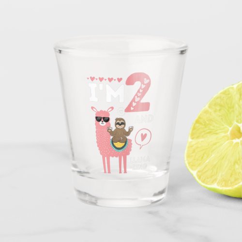 Birthday Sloth Shot Glass Tumbler  Mug Gifts 