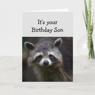 Birthday  Son Fun Age Humor Sad Raccoon Humor Card