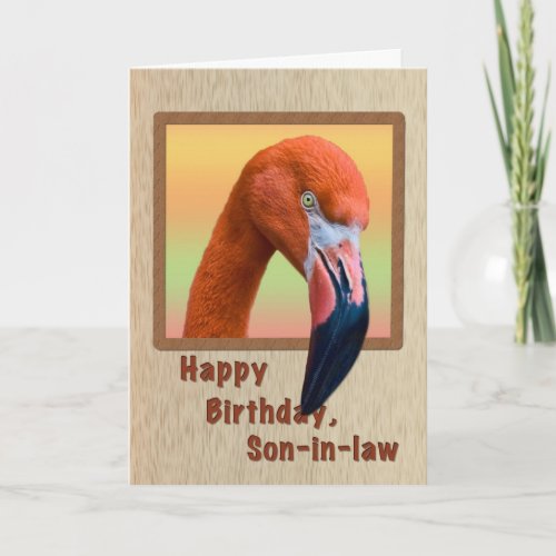 Birthday Son_in_law Flamingo Bird Card