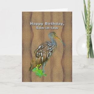 Birthday, Son-in-law, Limpkin Marsh Bird Card