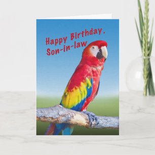 Birthday, Son-in-law, Macaw Parrot Card