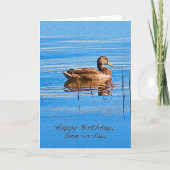Birthday, Son-in-law, Mallard Duck Card (Front)