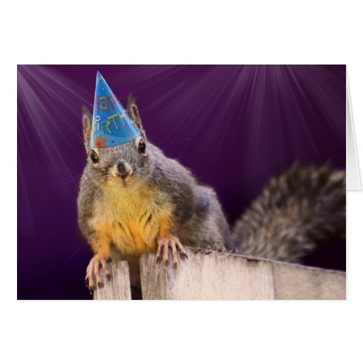 Birthday Squirrel Photo Greeting Card | Zazzle