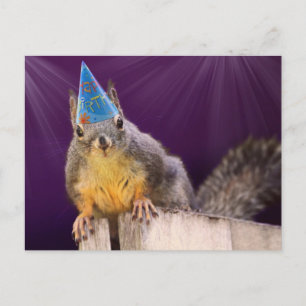 Birthday Squirrel Photo Postcard