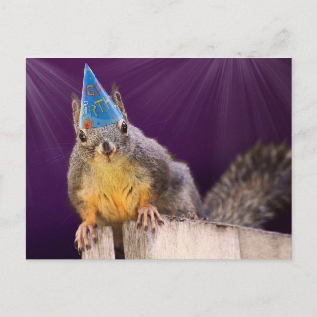 Birthday Squirrel Photo Postcard (Front)