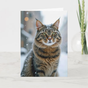 Birthday Street Cat In Snow Card