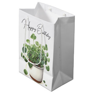 Birthday Succulent Plant in Pot Medium Gift Bag