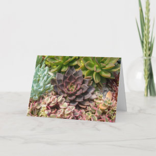birthday succulent plants card