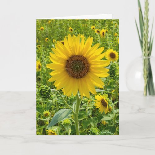 Birthday Sunflower Card