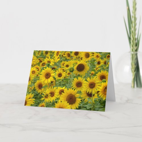 Birthday Sunflower Field Card