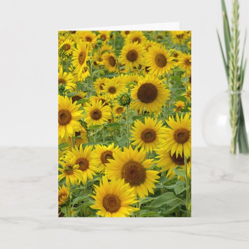 Birthday Sunflower Field Card