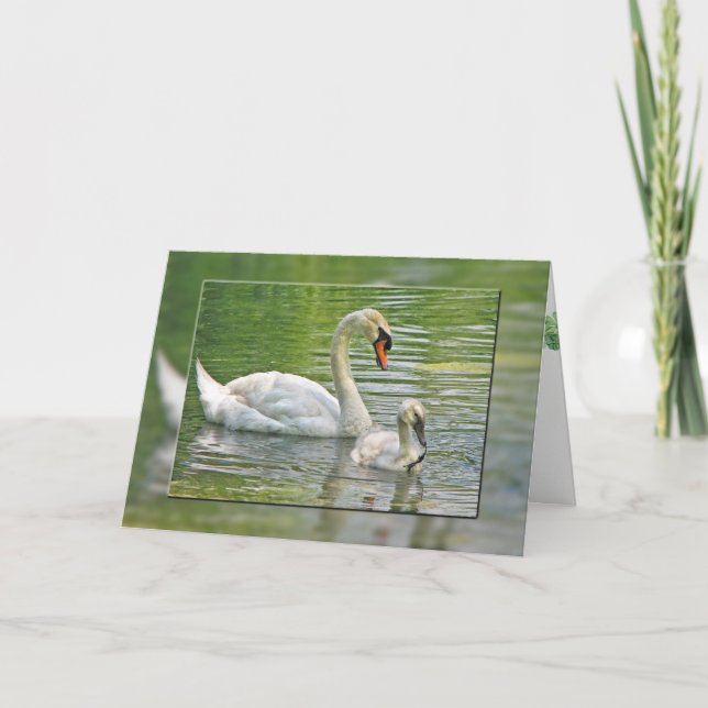 birthday swan with cygnet in pond card (Front)