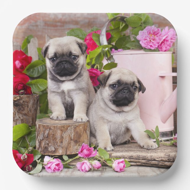Birthday Sweet Baby Pugs Floral Party Paper Plates (Front)