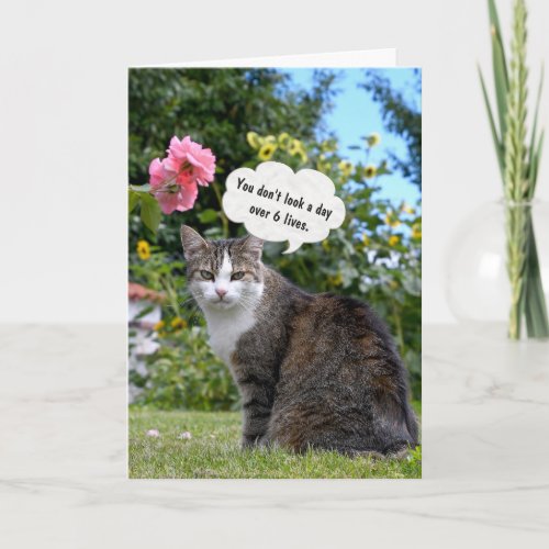 Birthday Tabby Cat Card