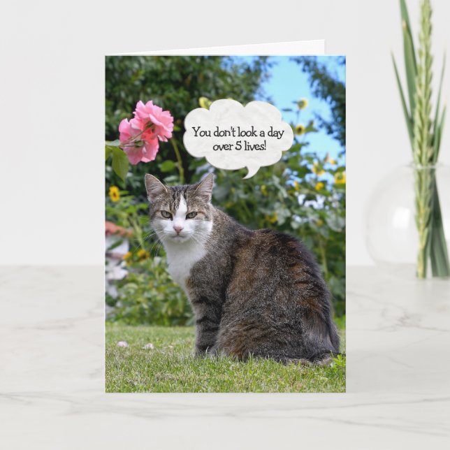 Birthday Tabby Cat Card (Front)