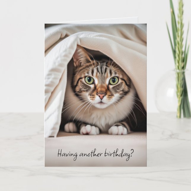 Birthday Tabby Cat Getting Old Humor Card (Front)