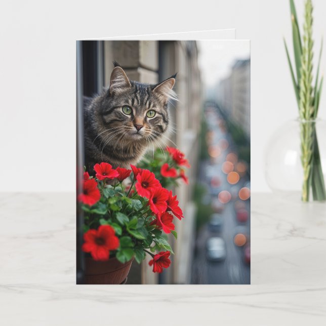 Birthday Tabby Cat In Apartment Window Card (Front)