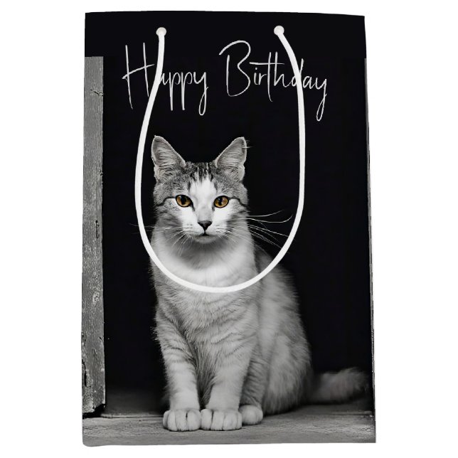 Birthday Tabby Cat In Doorway  Medium Gift Bag (Front)