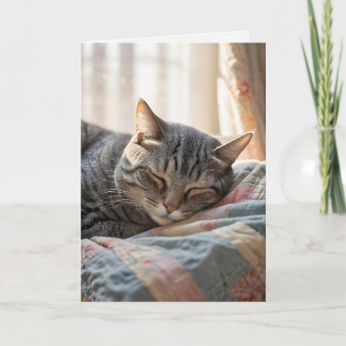 Birthday Tabby Cat Sleeping On Old Quilt Card