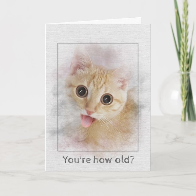 Birthday tabby kitten card (Front)