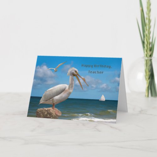 Birthday Teacher White Pelican on a Rock Card