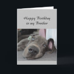 Birthday to my  Brother Fun Dog Relax Humor Card<br><div class="desc">Happy Birthday to my  Brother definition of Relax Humor Greeting with cute relaxing Great Dane Dog</div>
