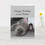 Birthday to my  Brother Fun Dog Relax Humor Card<br><div class="desc">Happy Birthday to my  Brother definition of Relax Humor Greeting with cute relaxing Great Dane Dog</div>