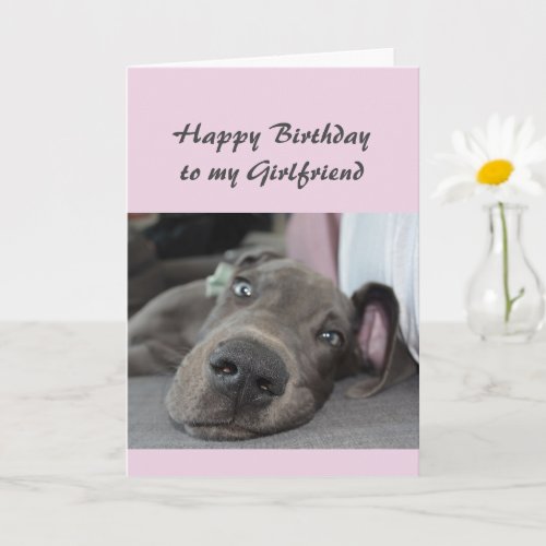 Birthday to my Girlfriend Fun Dog Relax Humor Card