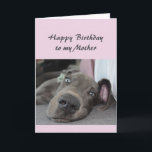 Birthday to my Mother Fun Dog Relax Humor Card<br><div class="desc">Happy Birthday to my Mother definition of Relax Humor Greeting with cute relaxing Great Dane Dog</div>
