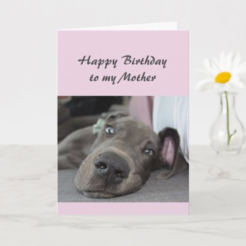 Birthday to my Mother Fun Dog Relax Humor Card