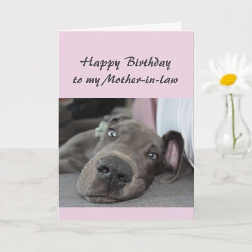 Birthday to my Mother_in_law Fun Dog Relax Humor Card