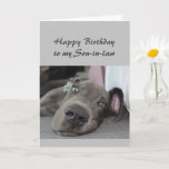 Birthday to my Son-in-law  Fun Dog Relax Humor Card<br><div class="desc">Happy Birthday to my Son-in-law definition of Relax Humor Greeting with cute relaxing Great Dane Dog</div>